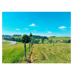 Invista em Diversão e Lucratividade! Seu Dinheiro Pode Render 15% ao Ano em Nosso Parque!